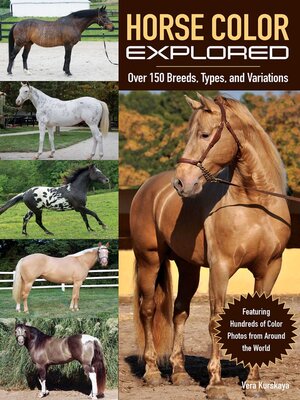 cover image of Horse Color Explored